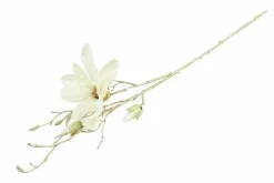 Countryfield zijden bloem Magnolia S wit crème – 86CM