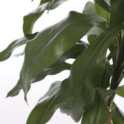 Dracaena Kunstplant – H100 x Ø70 cm