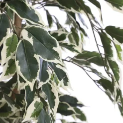 Ficus Kunstplant – H110 x Ø70 cm – Groen Bont