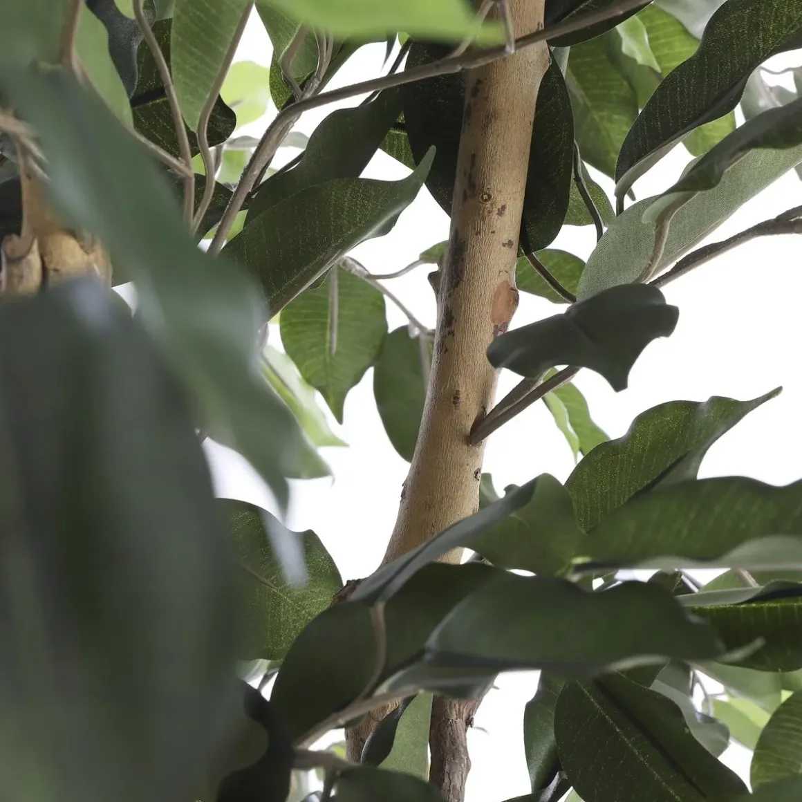 Ficus Kunstplant – H110 x Ø65 cm – Groen