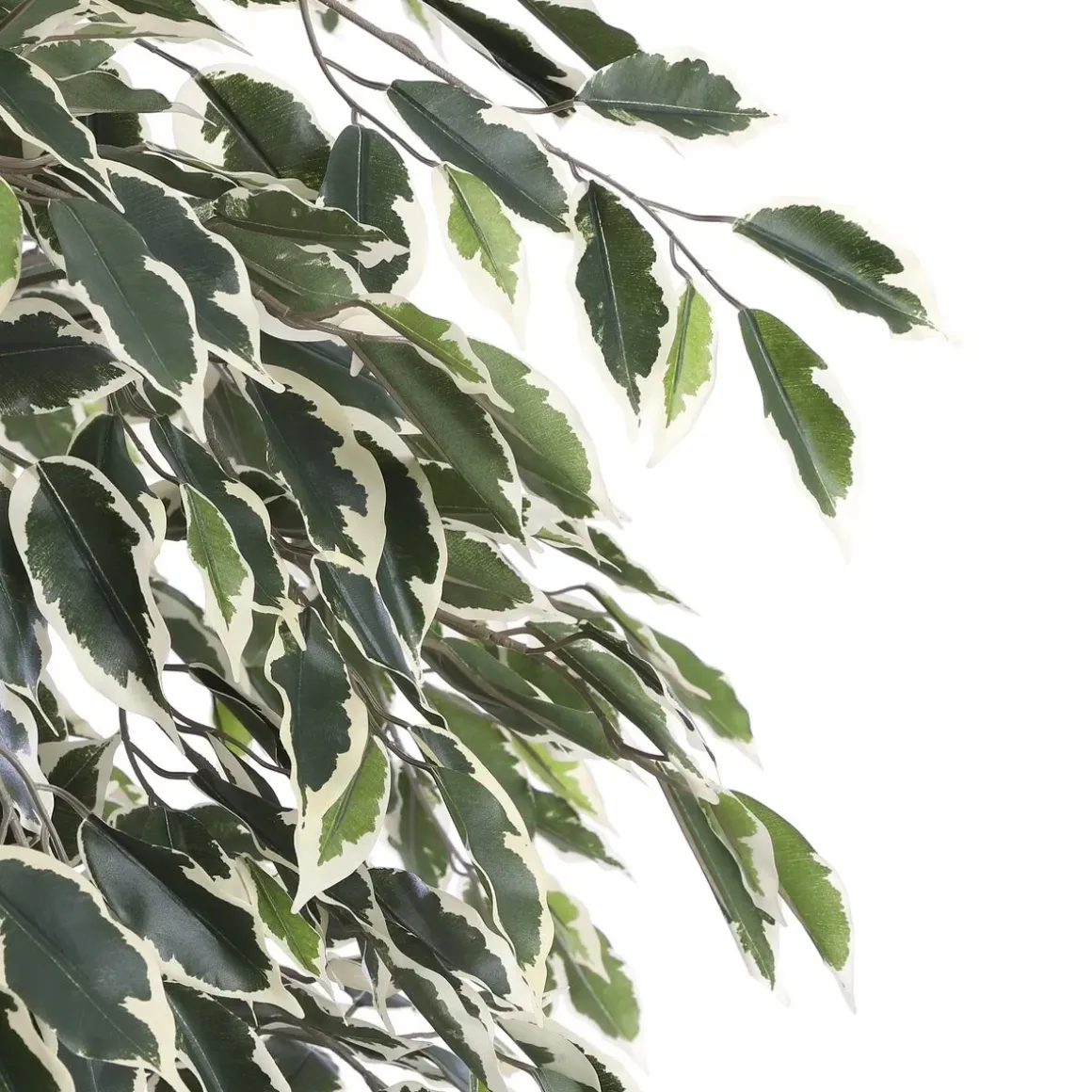 Ficus Kunstplant – H180 x Ø90 cm – Groen Bont