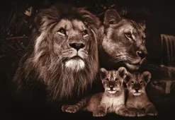 Glasschilderij Familie leeuwen met twee welpjes