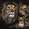 Glasschilderij Leeuwenfamilie met 2 welpjes