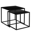 Goa Bijzettafel – Set van 2 – L35 x B35 x H33 cm – Metaal – Zwart