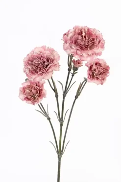 Kunstbloem Dianthus oud roze 60 cm