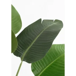 Kunstplant Bananenboom in Pot – H180 x Ø30 cm – Groen