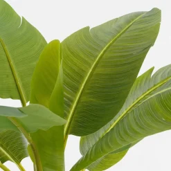 Kunstplant Bananenboom in Pot – H155 x Ø90 cm – Groen
