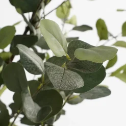 Kunstplant Eucalyptusboom in Pot – H180 x Ø80 cm – Groen