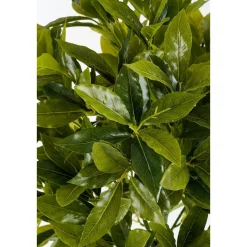 Laurierboom Kunstplant – H120 x Ø40 cm – Groen