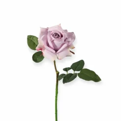 Lila / licht roze zijden bloem rozen roos