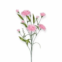Losse zijden bloem Dianthus roze 70 cm