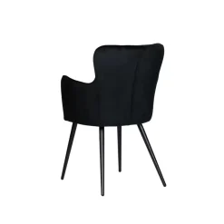 Luxe eetkamerstoelen Vleugelstoel zwart (Set van 2)