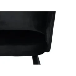 Luxe eetkamerstoelen Vleugelstoel zwart (Set van 2)