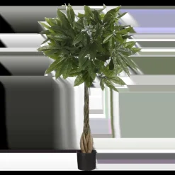 Pachira Kunstplant – H80 x Ø60 cm – Groen
