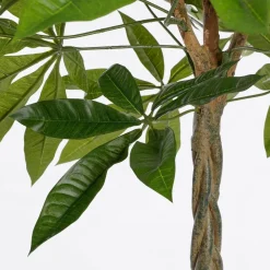 Pachira Kunstplant – H80 x Ø60 cm – Groen