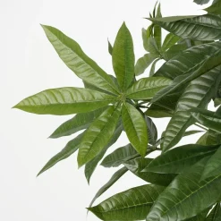 Pachira Kunstplant – H120 x Ø50 cm – Groen