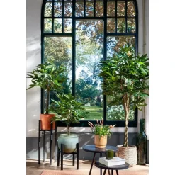 Pachira Kunstplant – H120 x Ø50 cm – Groen