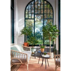 Pachira Kunstplant – H120 x Ø50 cm – Groen