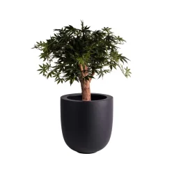 Pot – Ducos big black