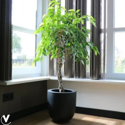 Pot – Ducos big black