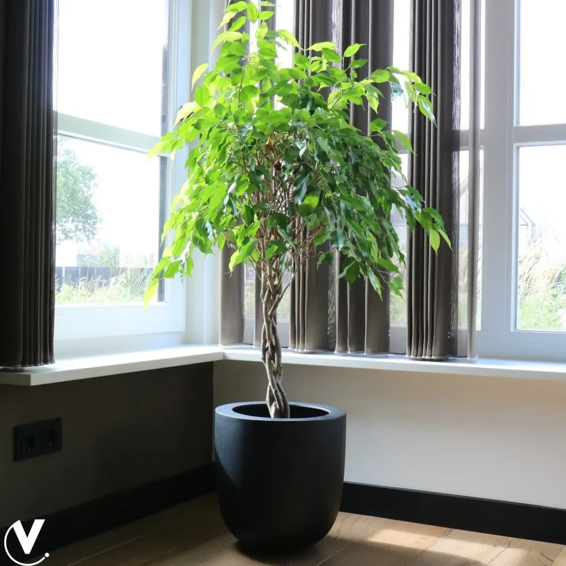 Pot – Ducos big black