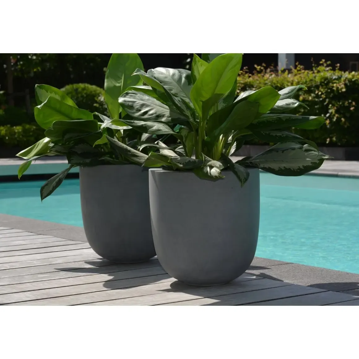 Pot – Ducos big grey