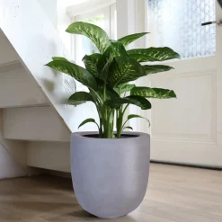 Pot – Ducos big grey