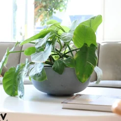 Pot – Ducos S grey (set van 2 stuks)