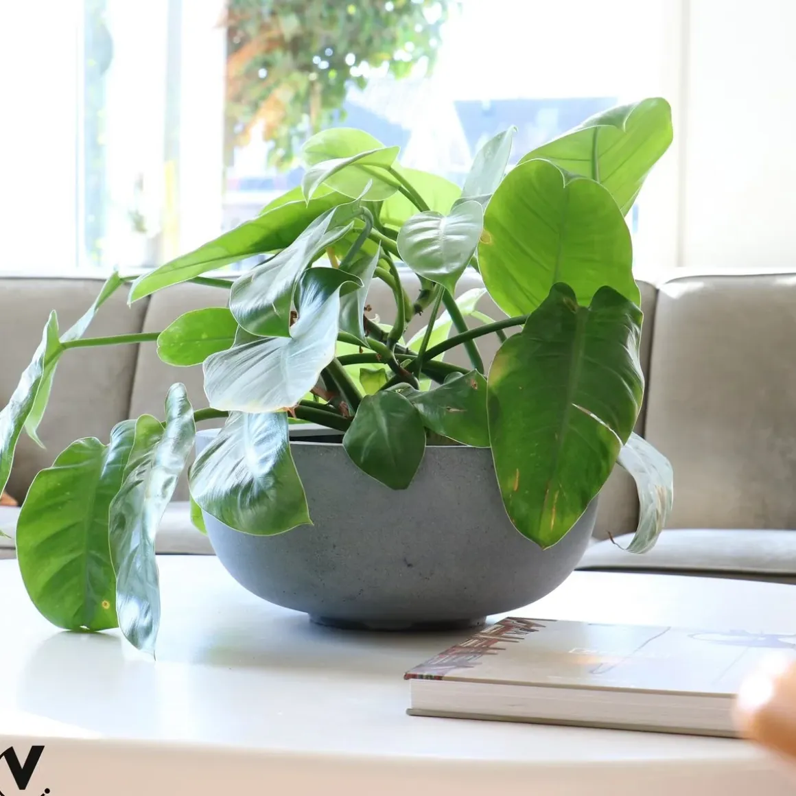 Pot – Ducos S grey (set van 2 stuks)