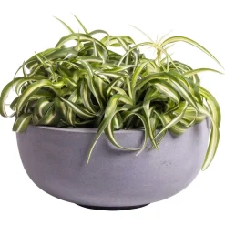 Pot – Ducos S grey (set van 2 stuks)