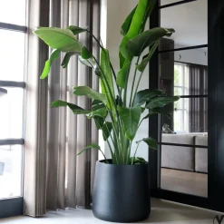 Pot – Portland Black