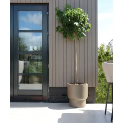 Pot – Roskilde taupe