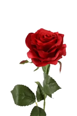 Rode zijden bloem rozen rood 55 cm