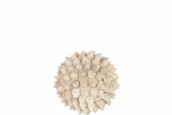 Schelp bol beige decoratie M Ø15cm