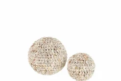 Schelpen bol decoratie naturel beige S Ø8cm