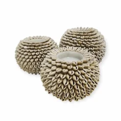 Schelpen waxinelichthouder kauri beige – 3 afmetingen