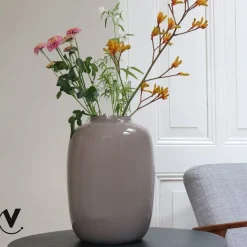 Vaas – Artic earth