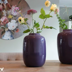 Vaas – Artic purple