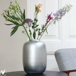 Vaas – Artic silver