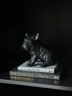Vakkenkast decoratie set Luxury met zwart buldog beeld