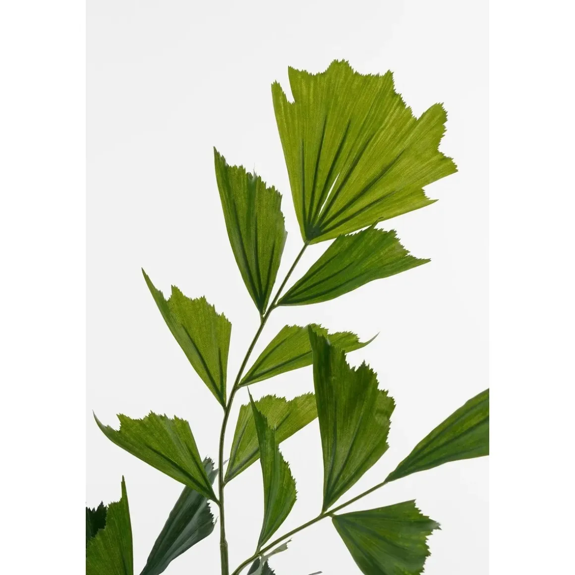 Vissenstaart Palm Kunstplant in Pot – H150 x Ø100 cm – Groen