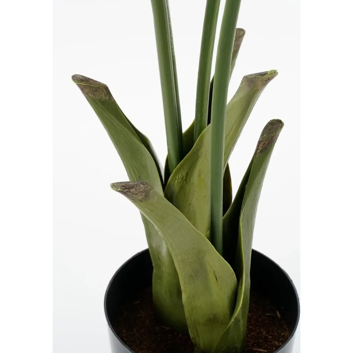 Vissenstaart Palm Kunstplant in Pot – H150 x Ø100 cm – Groen