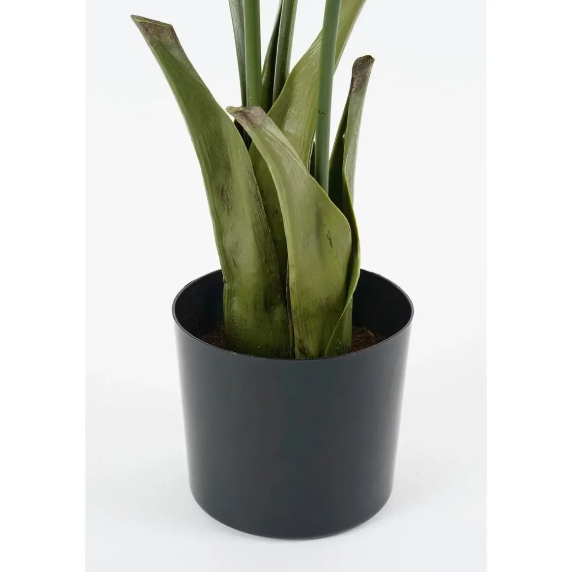 Vissenstaart Palm Kunstplant in Pot – H150 x Ø100 cm – Groen